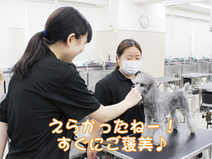 1年生が継続してステイの練習！